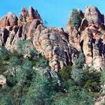 Pinnacles National Park