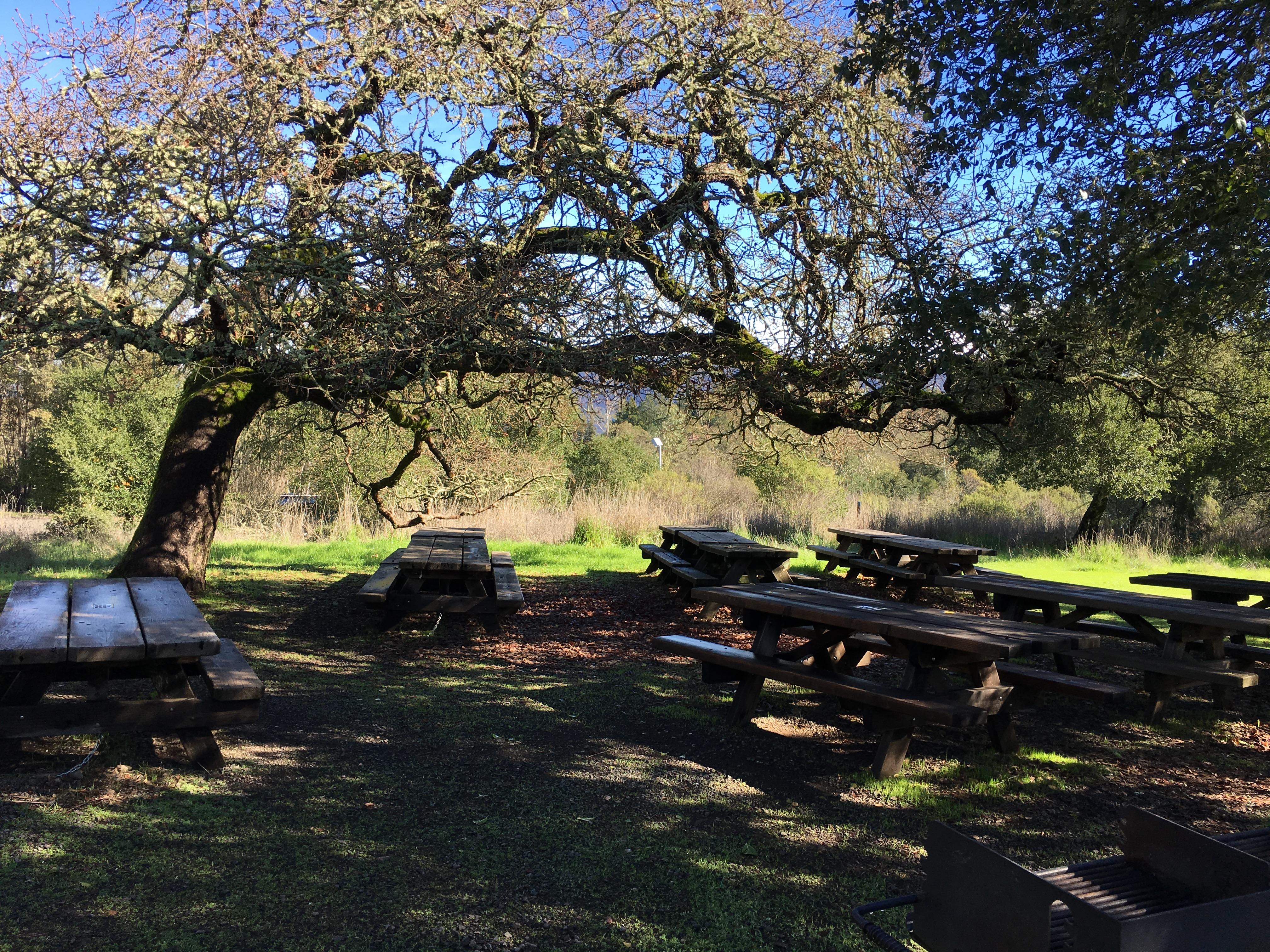 The Wedding Website of Jennifer Anderson and Kevin Couch
