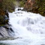 Whiskeytown Falls