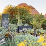 Desert Botanical Garden