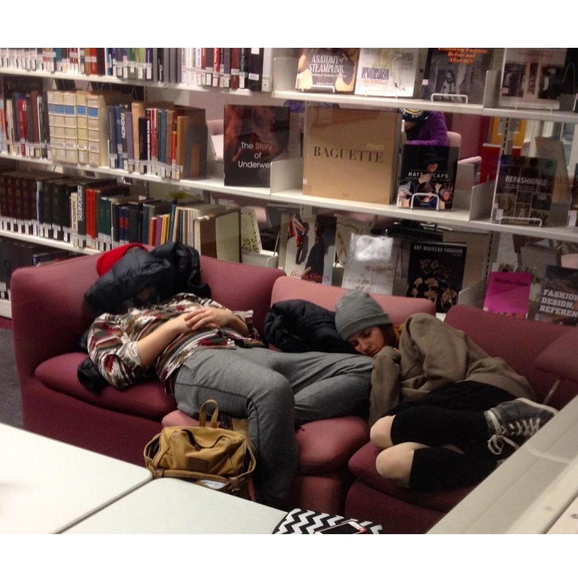 Nap time in the Rockwell library