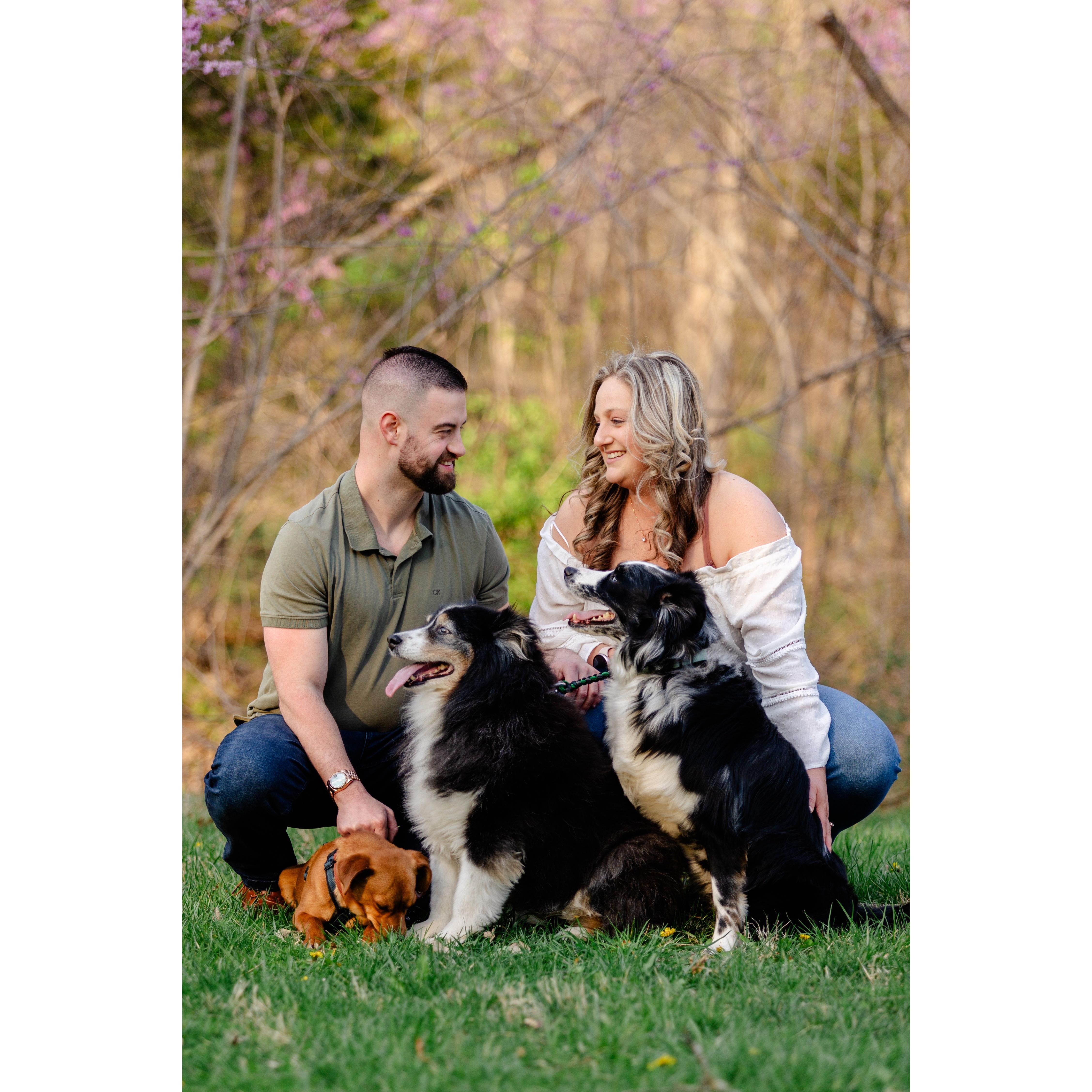 Family Pictured Left to Right: Frank, Lindsey, Avalanche, Bentley, & Dyna.