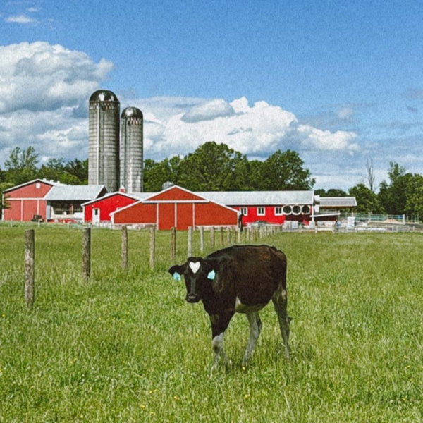 The Future Hinkle Farms