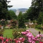 International Rose Test Garden