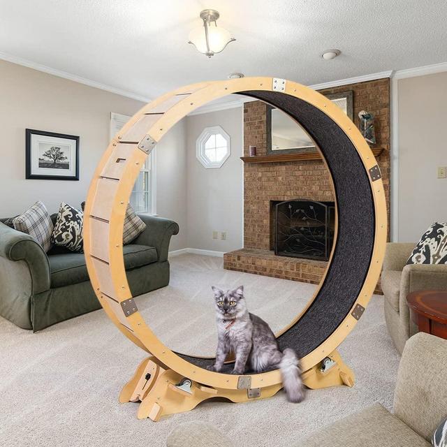 Cat Exercise Wheel for Indoor Cats, Upgraded Large Cat Exerciser Treadmill, Cat Fitness Spinning Running Wheel, Pet Walking Workout Supplies, Cat Exercise Fitness Weight Loss Device