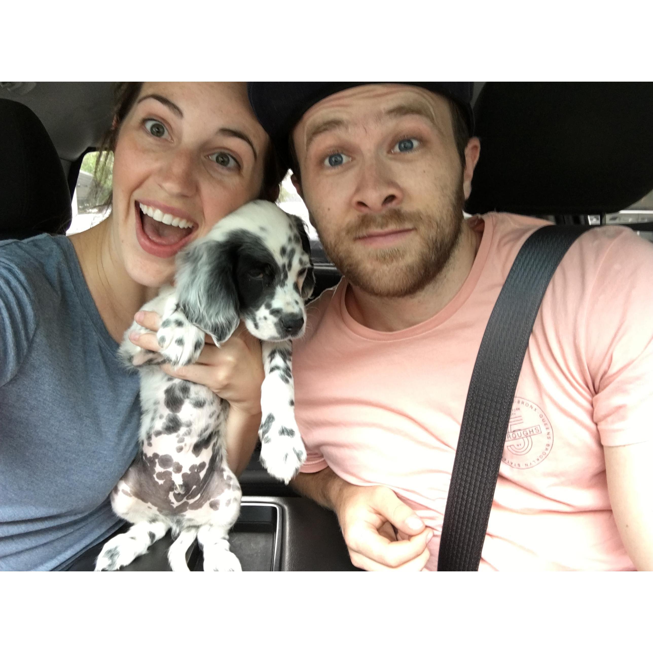 First day with our fur baby, Carl