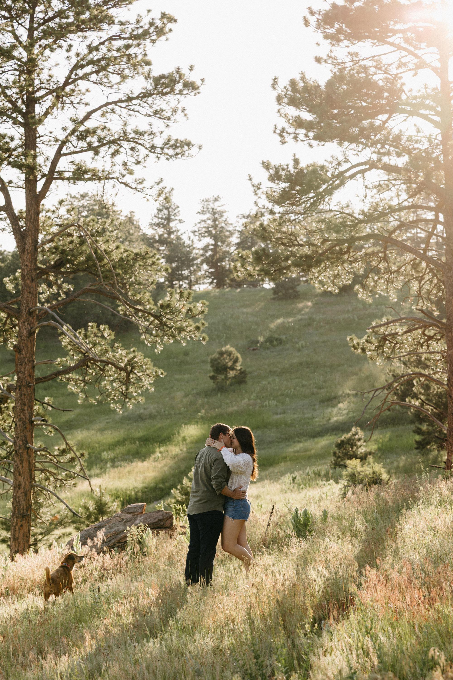 The Wedding Website of Lauren DeMattia and Brian Stahlhammer