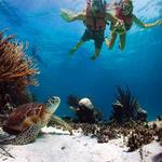 Underwater World