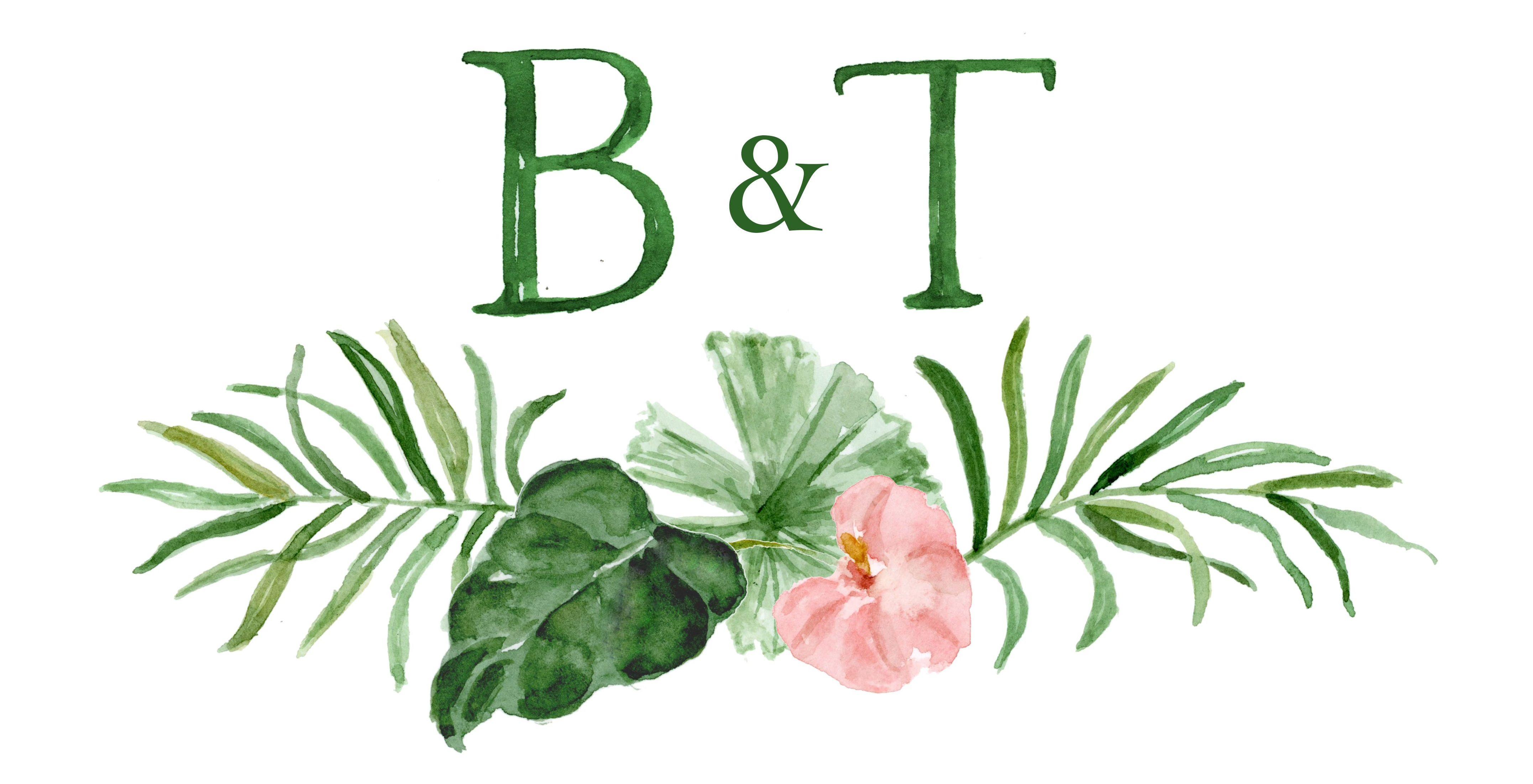 The Wedding Website of Taylor Hooks and Brett Santangelo