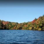 Daughters of the American Revolution State Forest