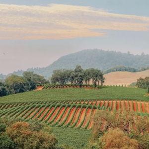 Napa Valley
