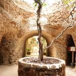 Forestiere Underground Gardens