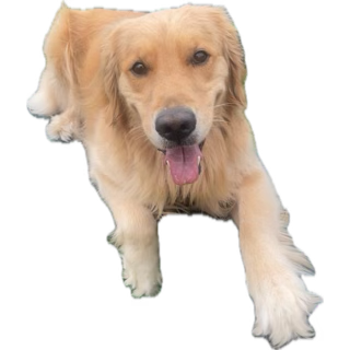 The Wedding Website of Lauren Thoryk and Kyle Fisher