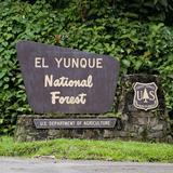 El Yunque National Forest