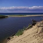 Tip-A-Thumb Canoe and Kayak Rental