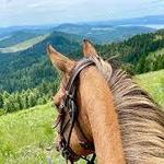 Moose Creek Ranch