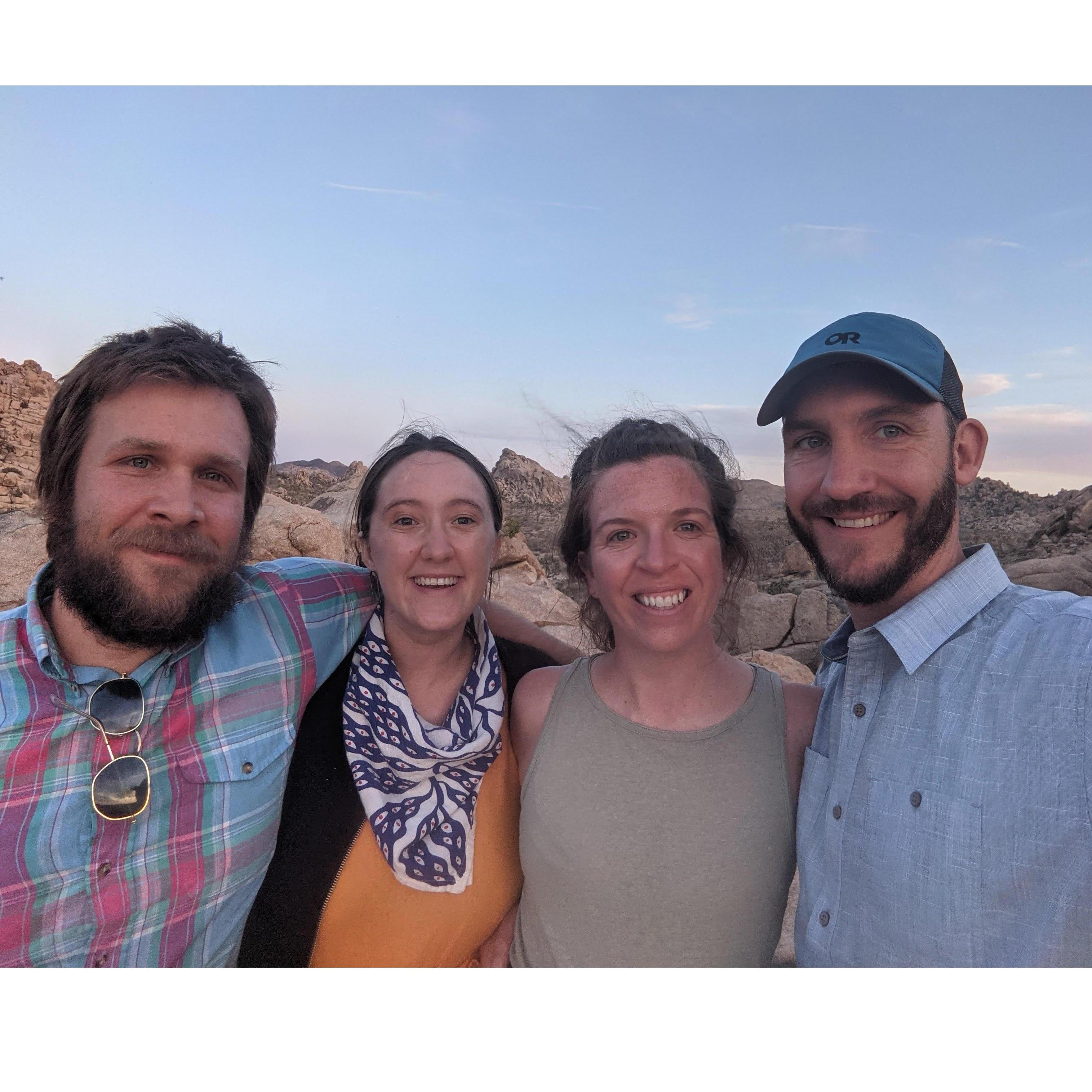 Joshua Tree with buds, summer 2021