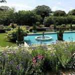 Planting Fields Arboretum