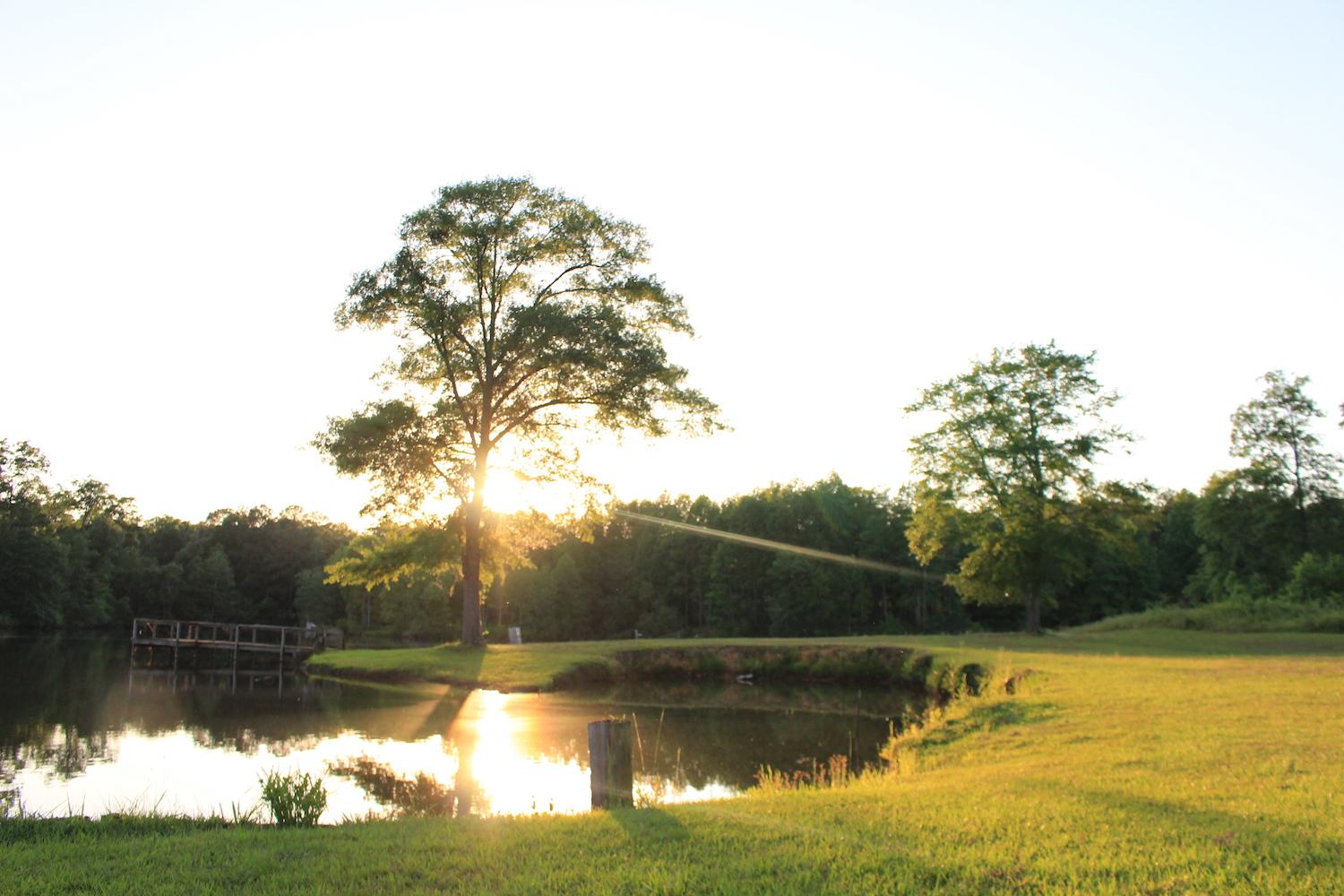 The Wedding Website of Ashley Getwan and Kip Chisholm