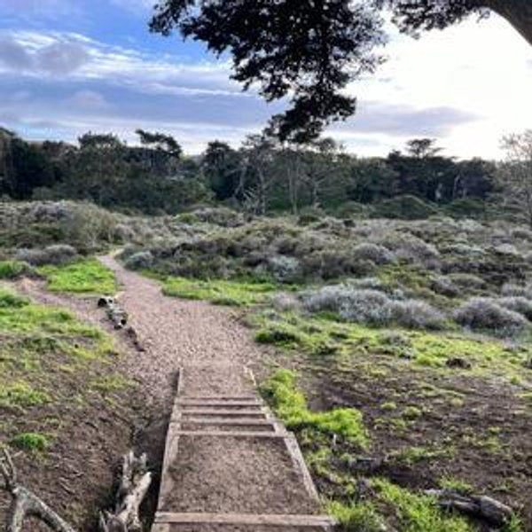 Support Ohlone Land