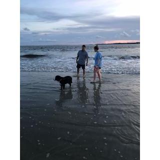 Beach walks with Bernina - Hilton Head Island, South Carolina - 2018