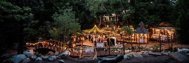 The Wedding Website of David Welch and Medha Uppala