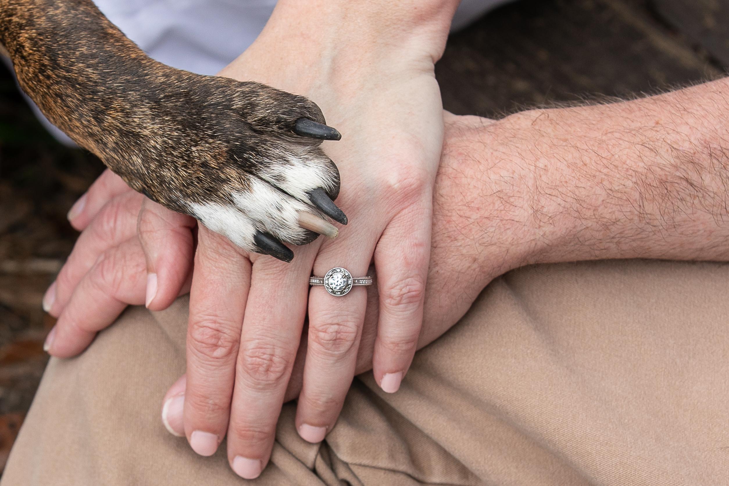 The Wedding Website of Julia Hatley and Wade Fleming