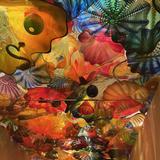 Chihuly Collection