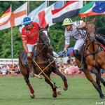 Newport Polo