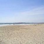 Horseneck Beach