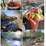 River View Grill & Bar