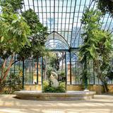 Orto Botanico di Palermo