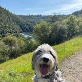 Western States Trail