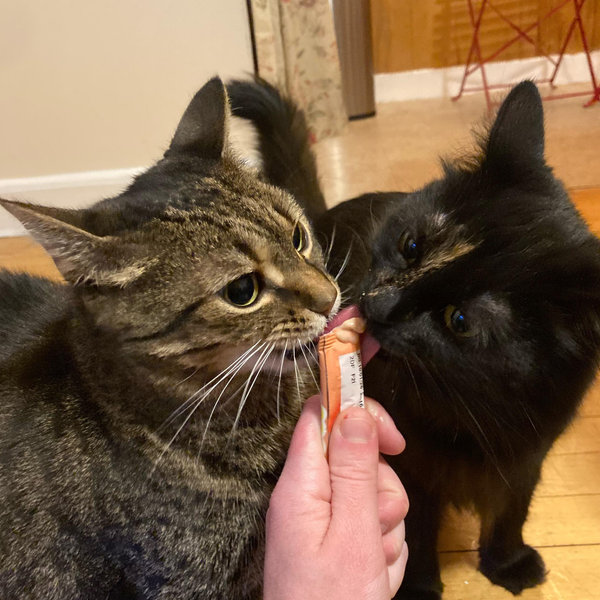 Pet Enrichment Fund