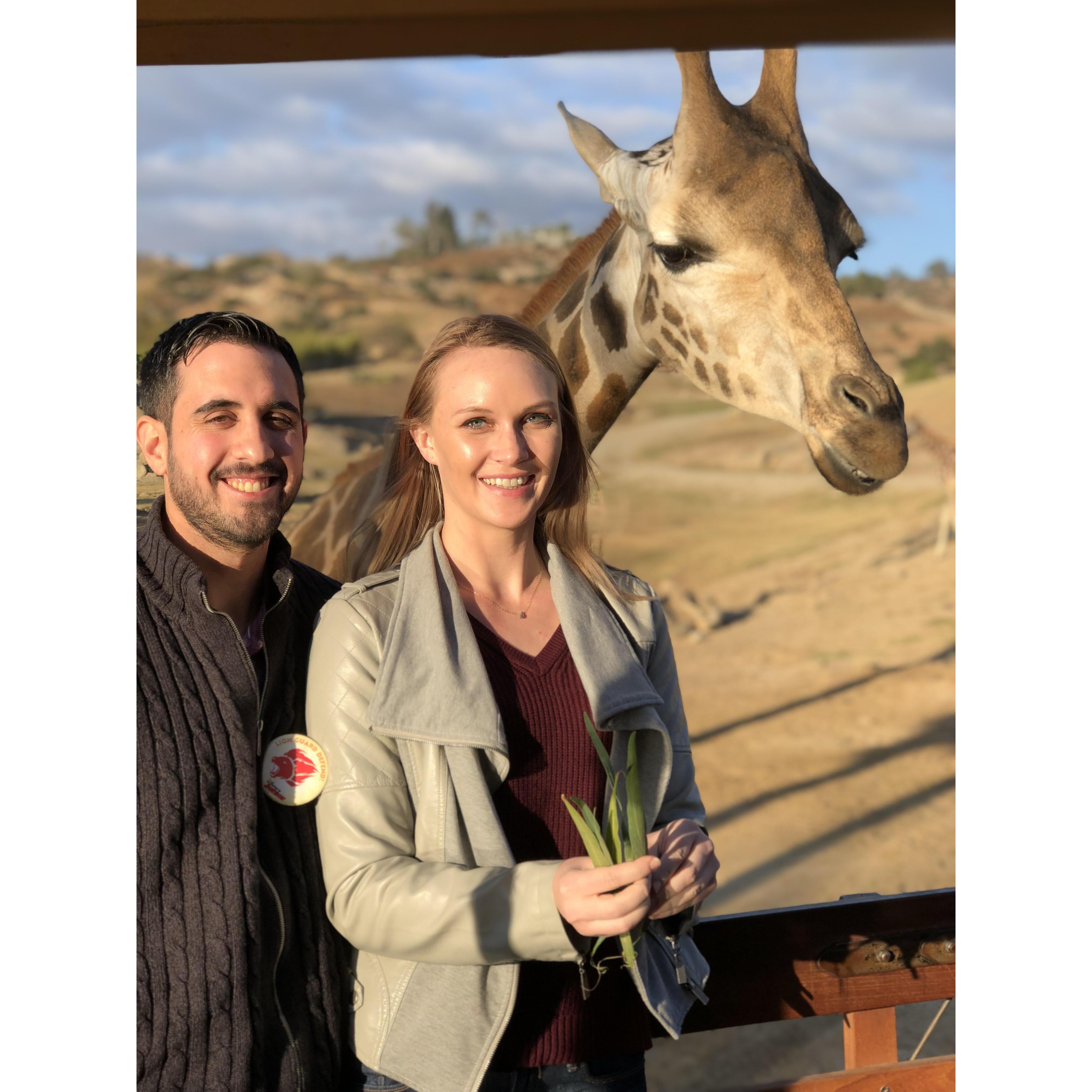 Our first California safari trip