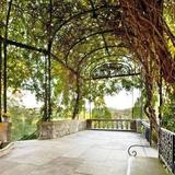 Cheekwood