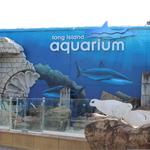 Long Island Aquarium
