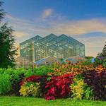 Frederik Meijer Gardens & Sculpture Park