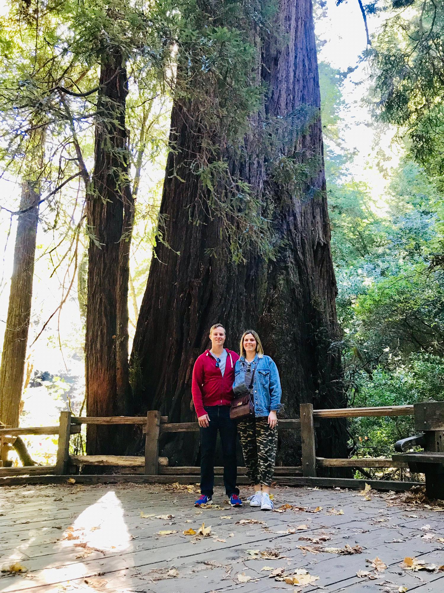 [Muir Woods Redwood Forest]