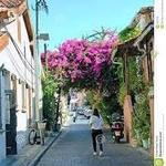 Shabazi Street