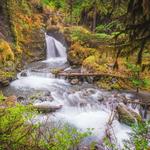 Virgin Creek Falls Trail