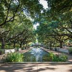Houston Zoo