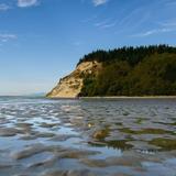 Double Bluff Beach and Off Leash Area