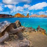 Galapagos Island