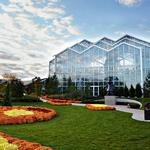 Frederik Meijer Gardens & Sculpture Park