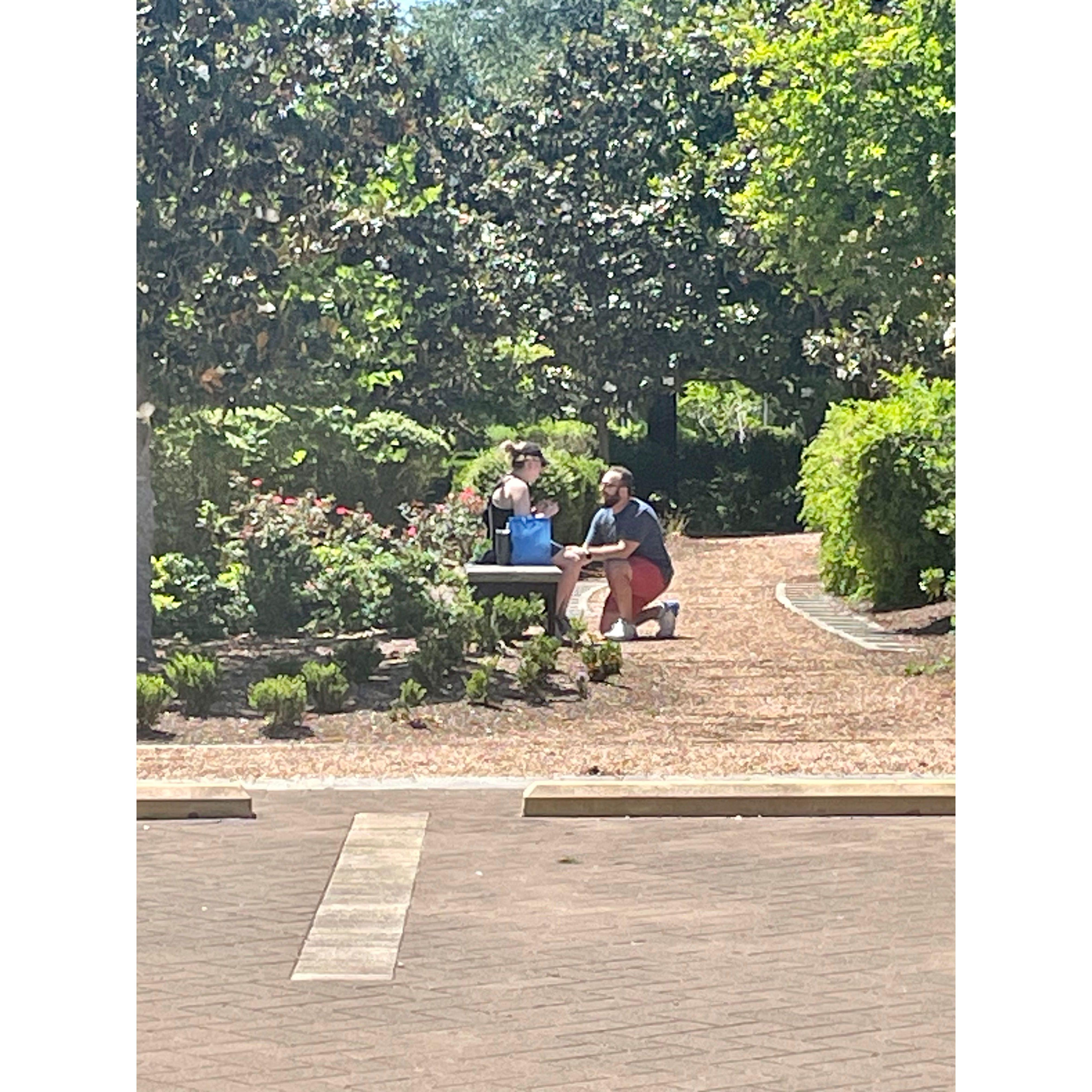 The proposal! at Buffalo Bayou Park
