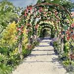 The Dallas Arboretum and Botanical Garden