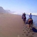 Horseback Riding on the Beach at Ross Ranch