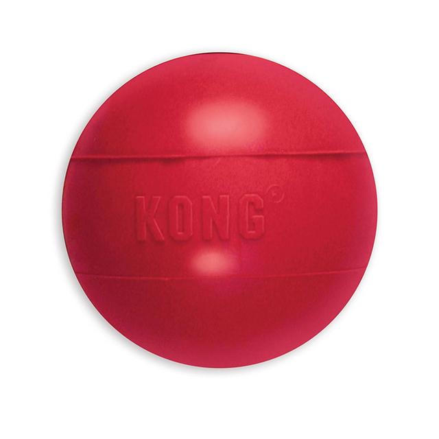 KONG Ball Dog Toy - Red - M/L