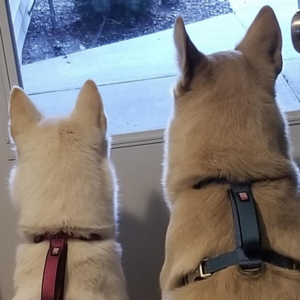 Oby and Lola Treat Fund